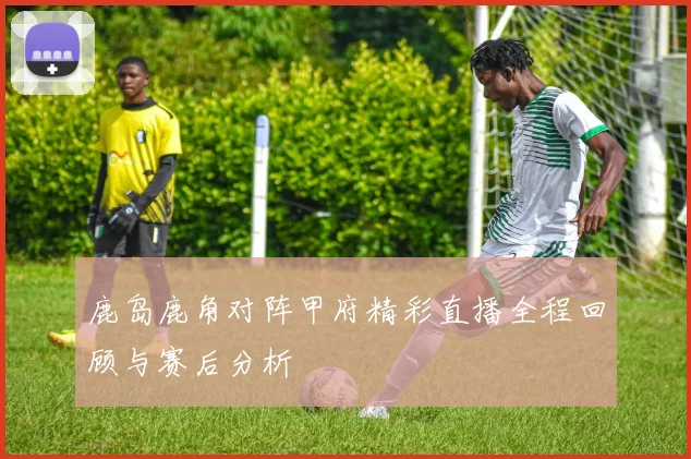 鹿岛鹿角对阵甲府精彩直播全程回顾与赛后分析